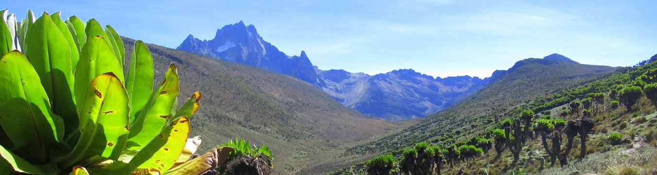 Mont Kenya, Kenya