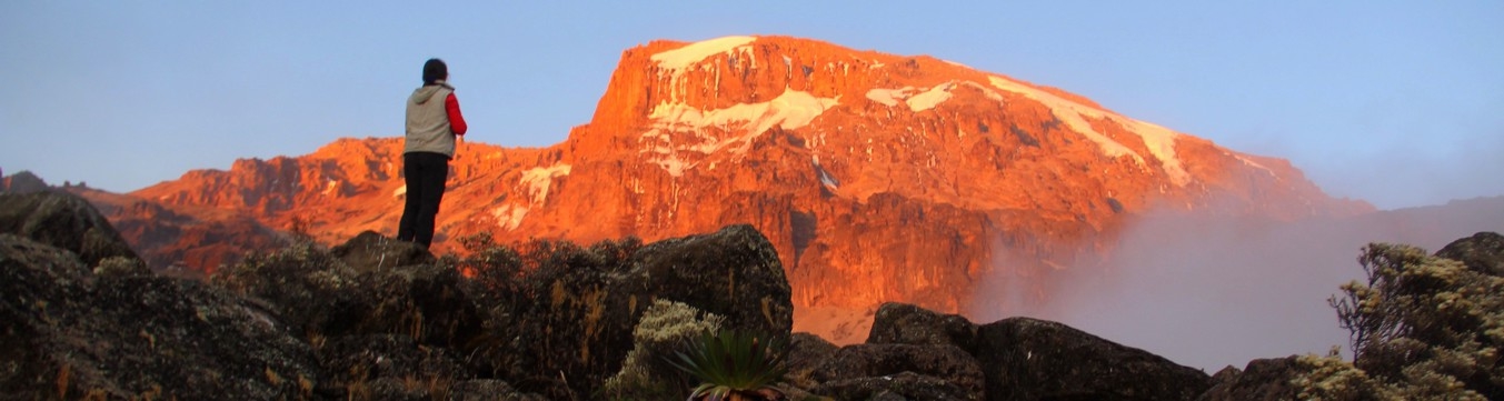 Kilimandjaro, Tanzanie